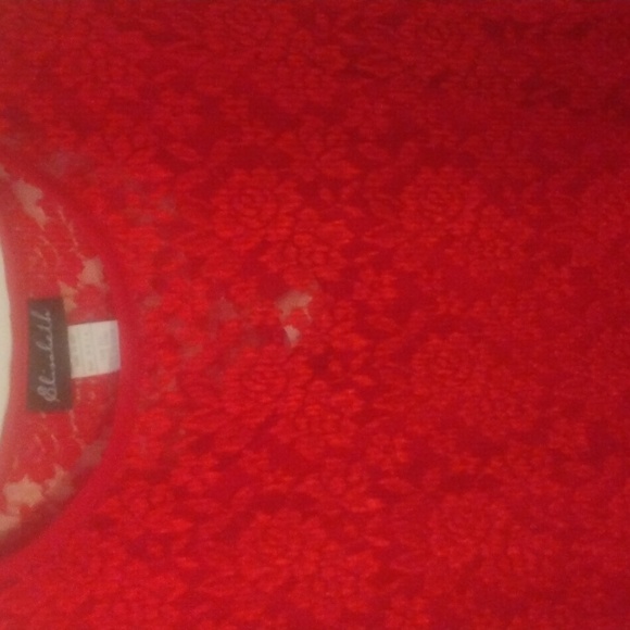 Size 22W Red lace dress. 2 separate pieces. Take a look... - Picture 2 of 13